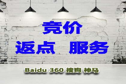 某电商企业SEM竞价代运营全记录：销量翻倍的奥秘